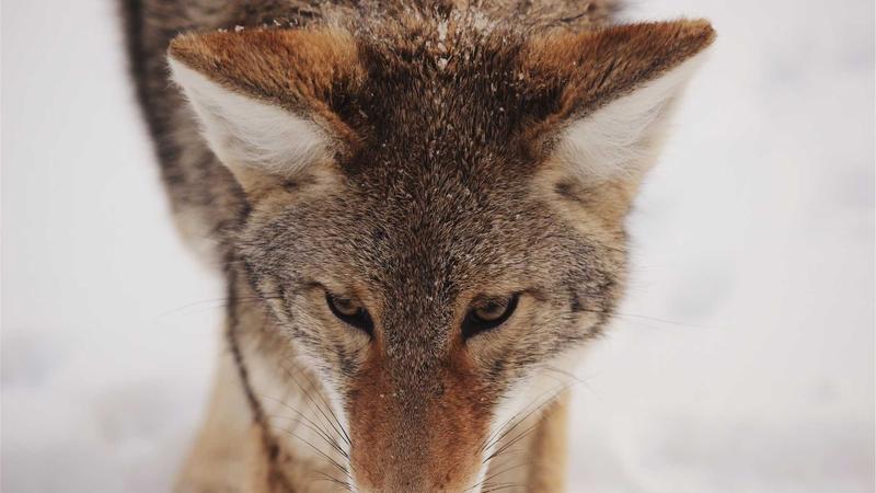 아파트 매매 중도금 관련 이미지 2