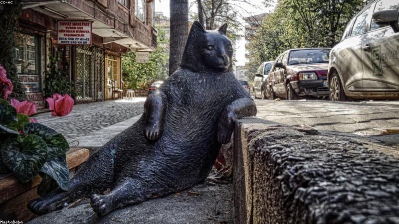 자동차보험 비교 다모아 관련 이미지 3