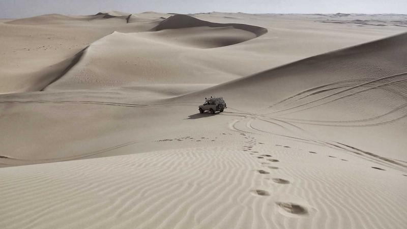 2024년 필수 확인 관련 이미지 2