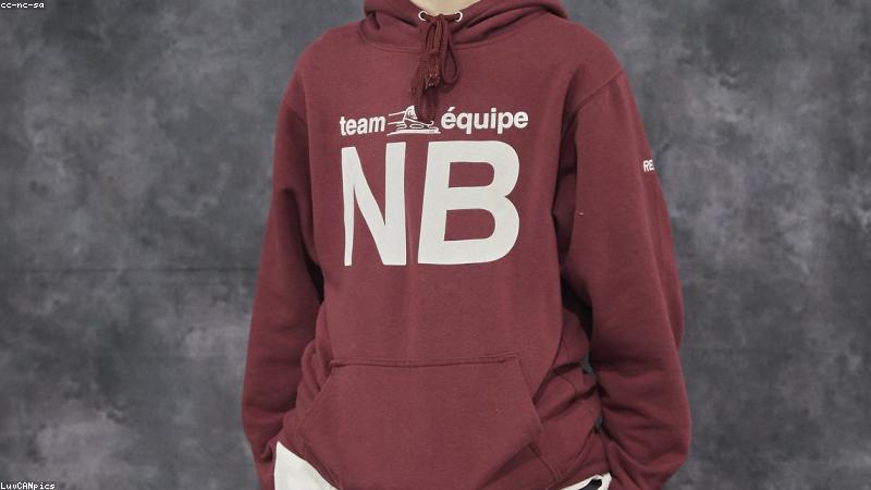 자동차보험 비교 플랫폼 장단점 분석