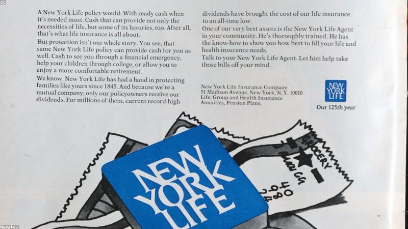 운전자보험 변경 필수 관련 이미지 3