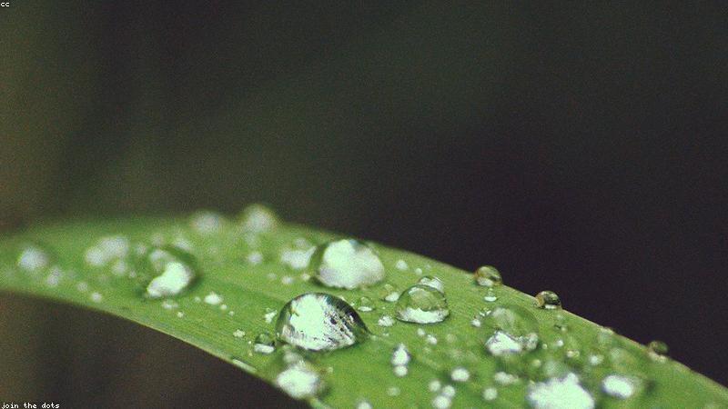 하루만 맡겨도 쏠쏠한 관련 이미지 2