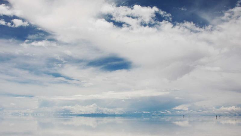 2024년 운전자보험 변호사선임비용 관련 이미지 3