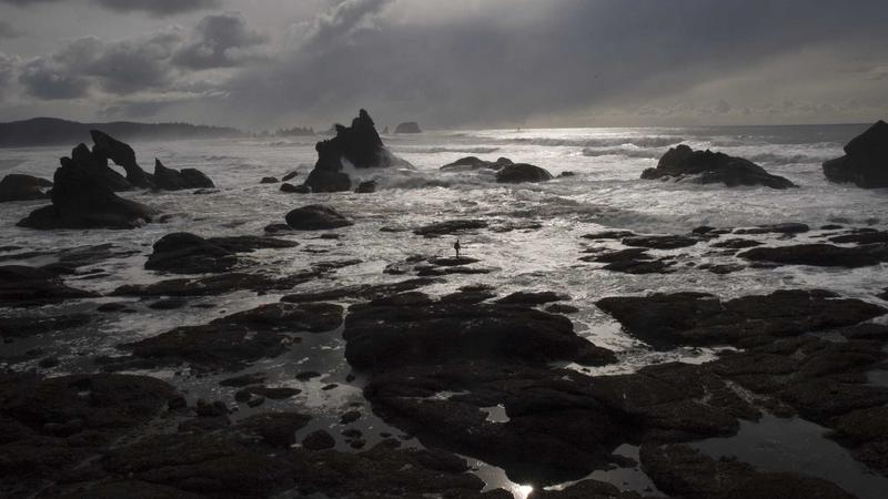 2024년 정부지원 대출금 관련 이미지 3