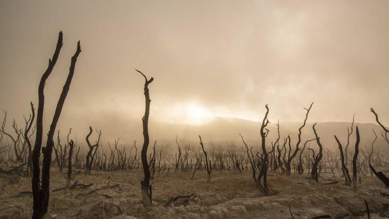 2024 부동산 전세 관련 이미지 2