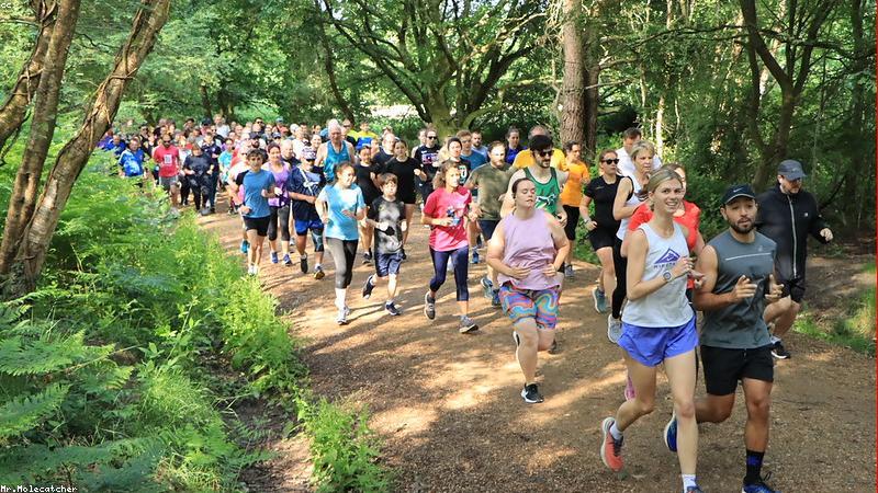 직장인 필수 재테크 관련 이미지 2