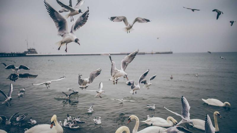 2024년 필수 연금저축펀드 관련 이미지 3