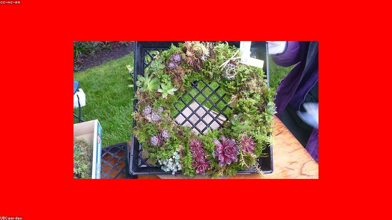 직장인 필수 재테크 관련 이미지 2