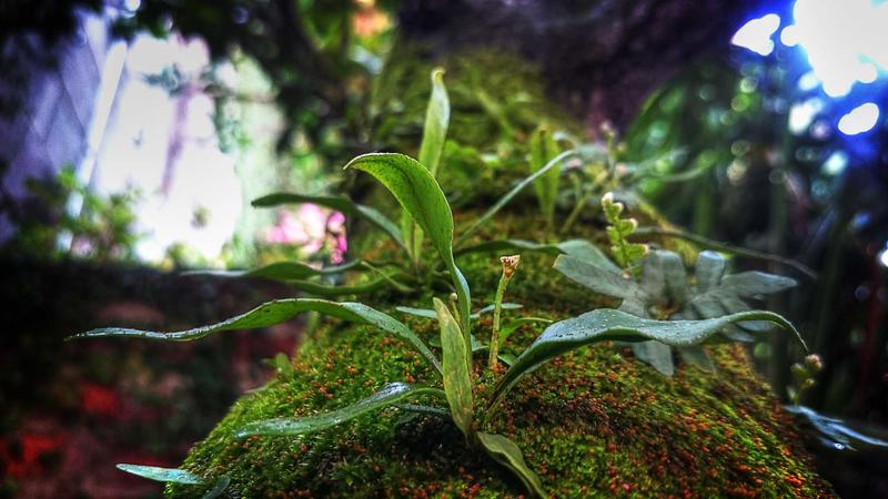 광고 없는 진짜 관련 이미지 2