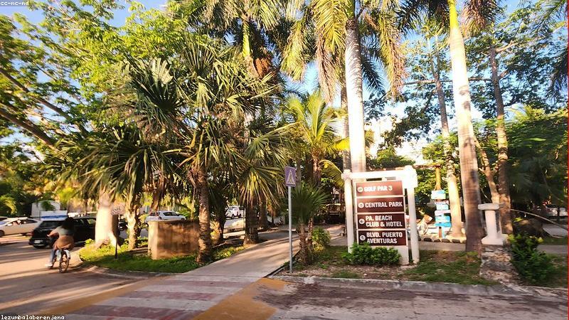 원룸 전세 vs 관련 이미지 2