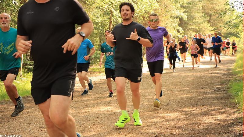 원룸 전세 vs 관련 이미지 3