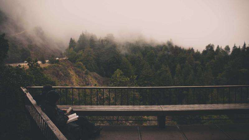 대학생 전세 vs 관련 이미지 3