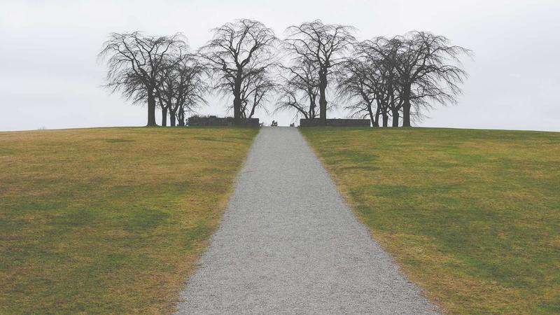 매일 이자가 쌓이는 관련 이미지 3