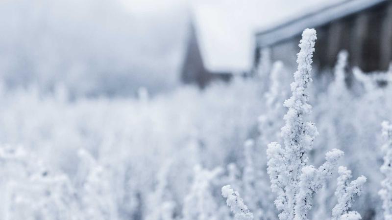 연금저축펀드 비추 가입 관련 이미지 3